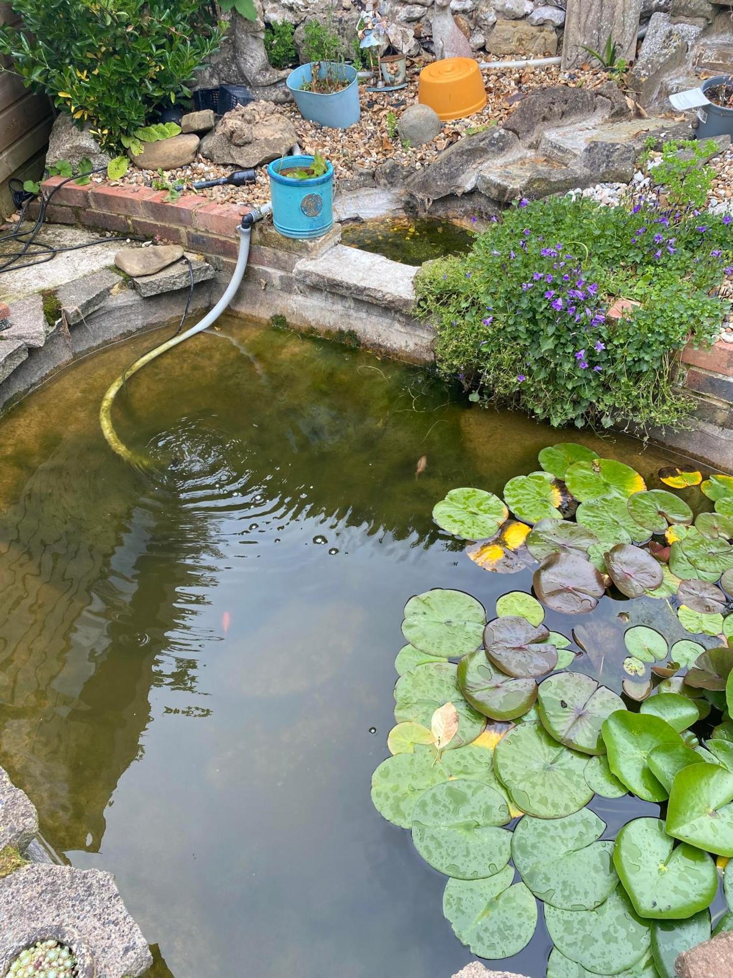 Pond Cottage Purley Bagian luar foto