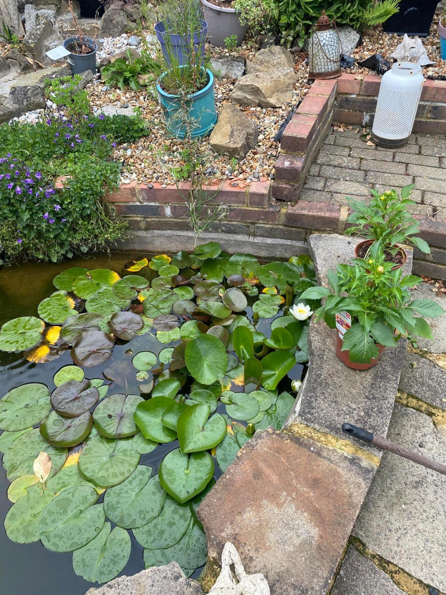 Pond Cottage Purley Bagian luar foto